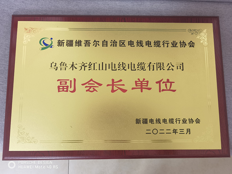 新疆电缆协会副会长单位